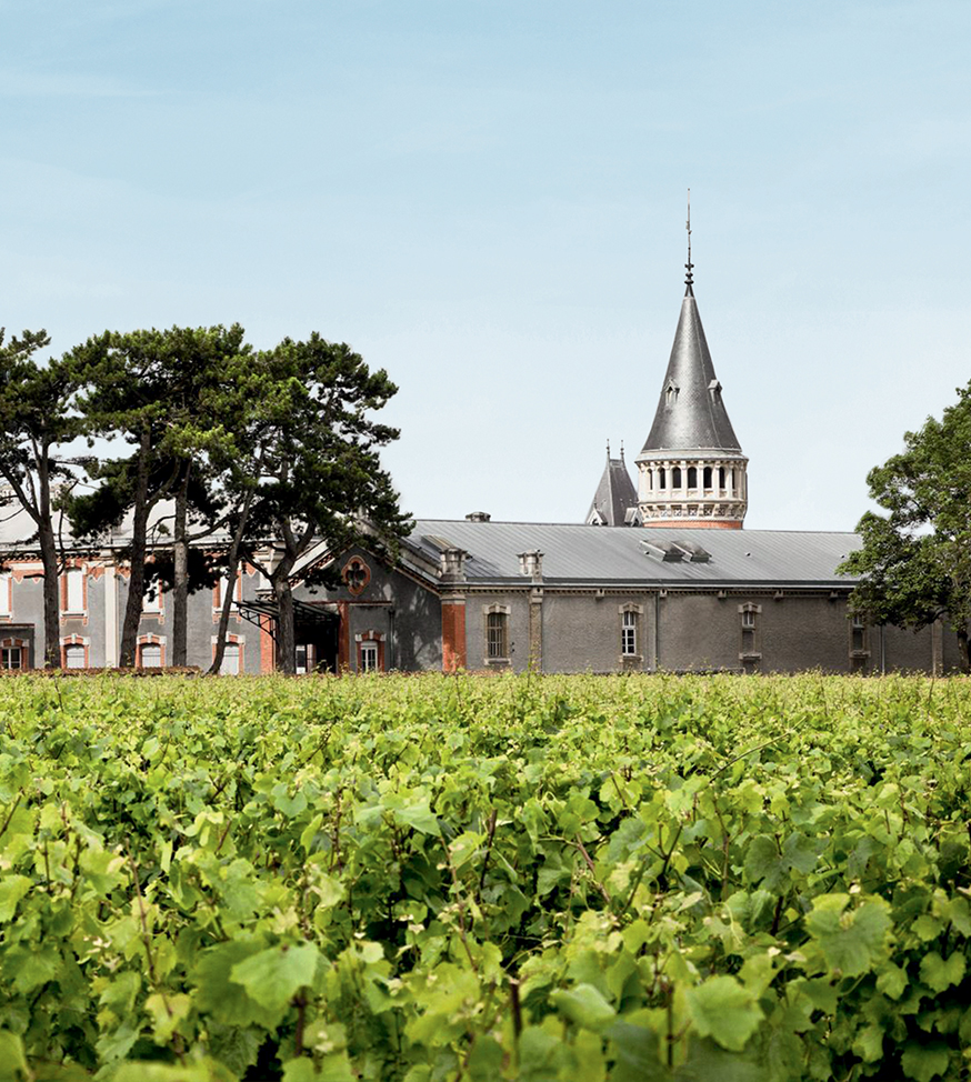 Vigne du clos pompadour